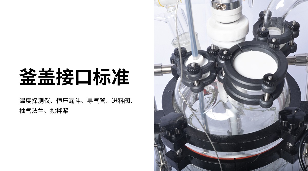 100L Glass Crystallization Filter Reactor for CBD Crystal