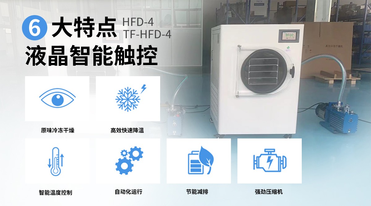 HFD-4 home lyophilization homemade food freeze dryer household vacuum pump freeze dryer
