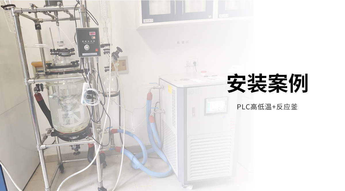 GR10L双层玻璃反应釜