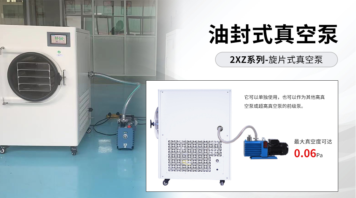 HFD-4家用冷冻干燥机 食品冷冻干燥机 家用真空冻干机